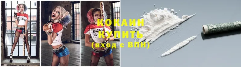 закладки  Элиста  Cocaine Эквадор 